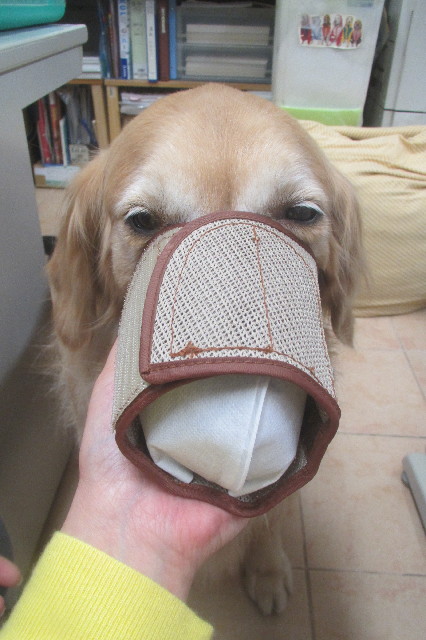 ファイル 3508-5.jpg