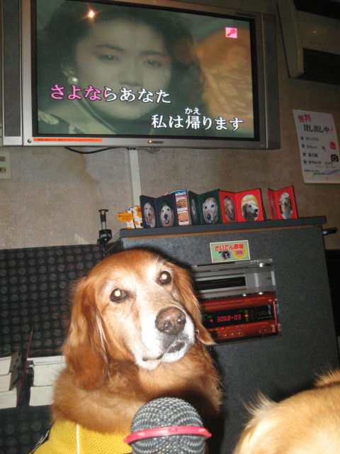 ファイル 351-1.jpg