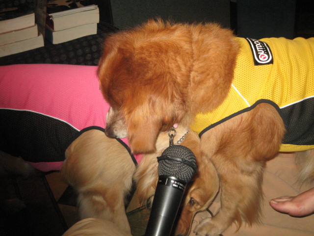 ファイル 351-2.jpg