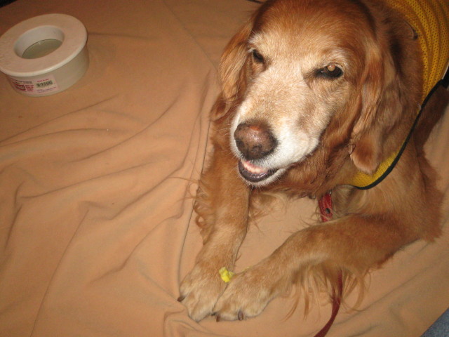 ファイル 351-4.jpg