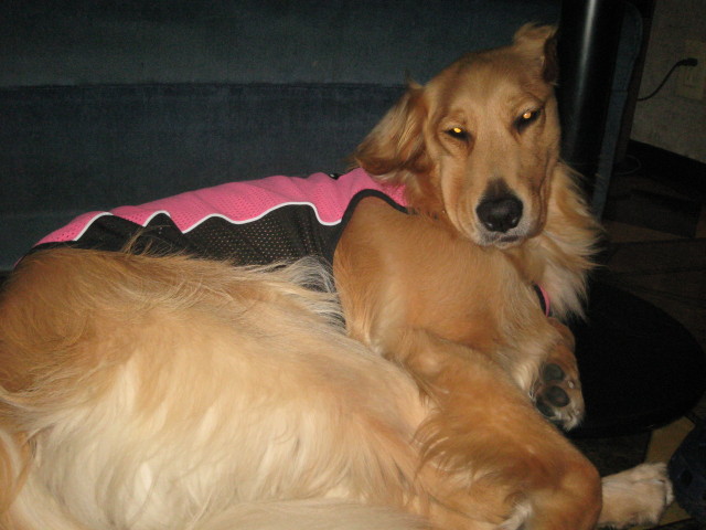 ファイル 351-5.jpg