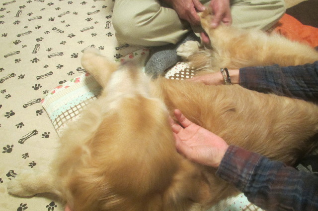 ファイル 3510-4.jpg