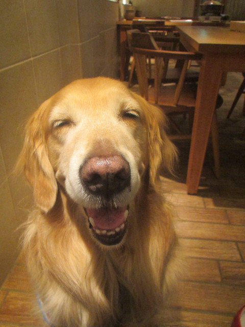 ファイル 3510-5.jpg