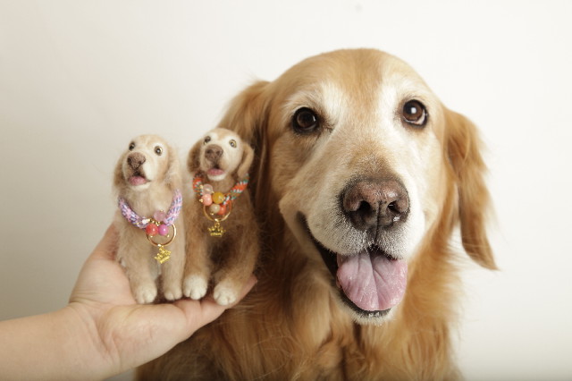 ファイル 3513-3.jpg