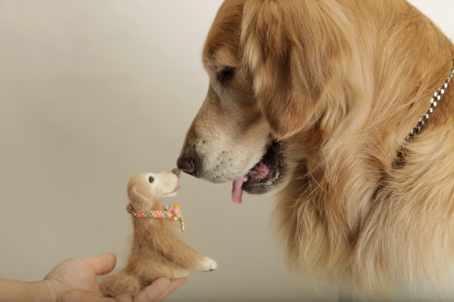 ファイル 3513-4.jpg