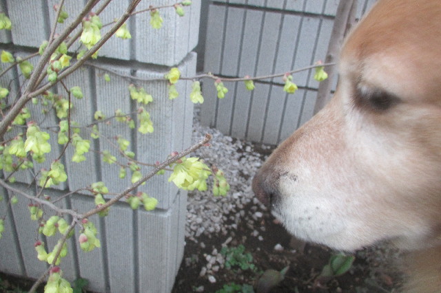 ファイル 3514-1.jpg