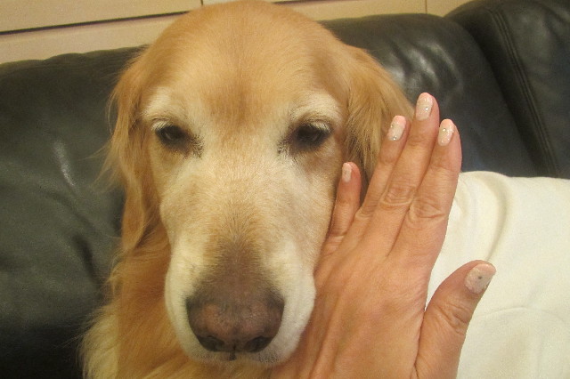 ファイル 3514-2.jpg