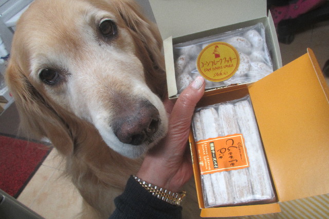 ファイル 3515-5.jpg