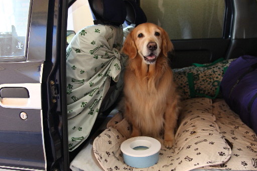 ファイル 3516-1.jpg