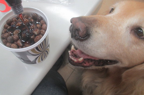 ファイル 3516-2.jpg