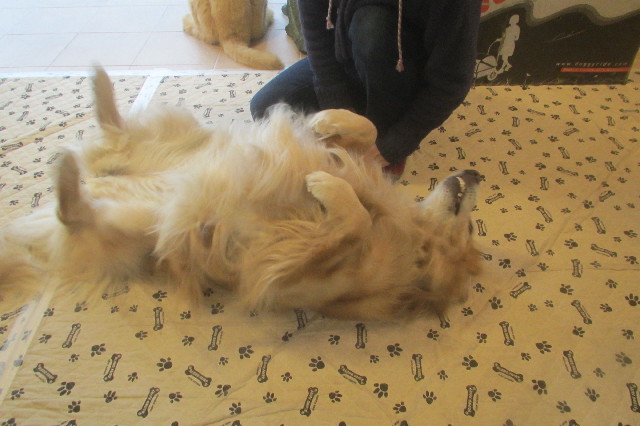 ファイル 3516-5.jpg