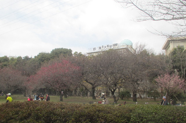 ファイル 3518-3.jpg