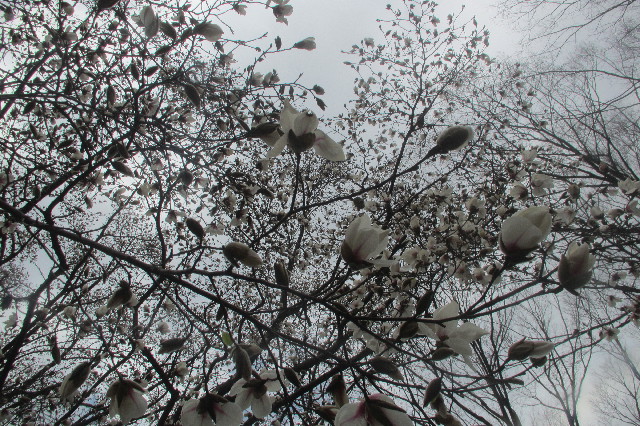 ファイル 3518-5.jpg