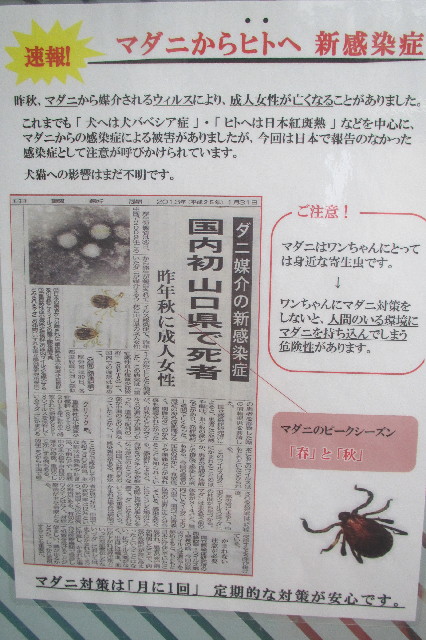 ファイル 3519-5.jpg