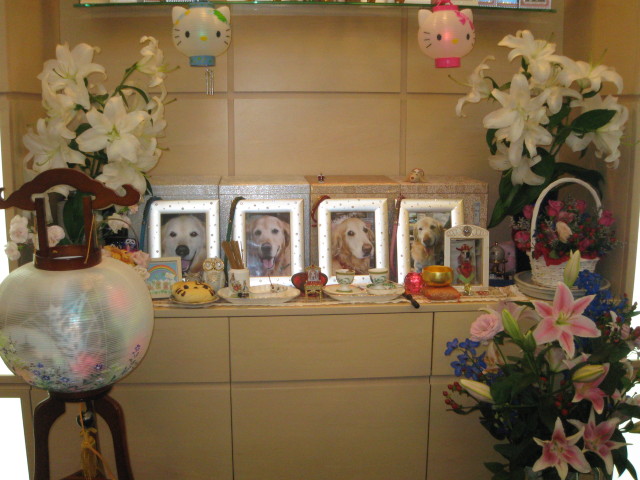 ファイル 352-4.jpg