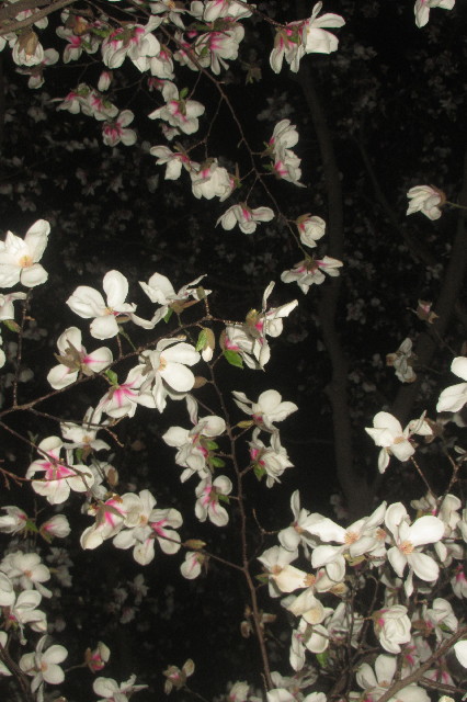 ファイル 3521-3.jpg