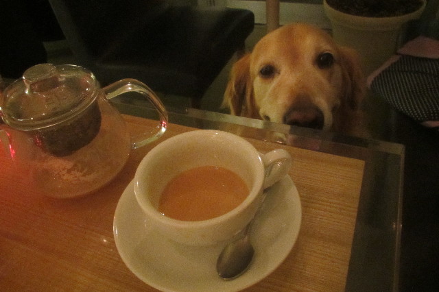 ファイル 3521-5.jpg