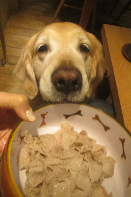 ファイル 3522-3.jpg