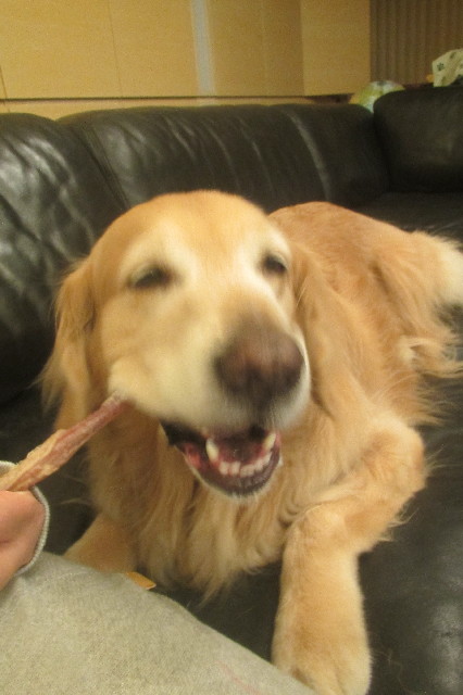 ファイル 3523-1.jpg