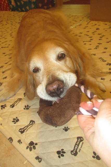 ファイル 3523-2.jpg