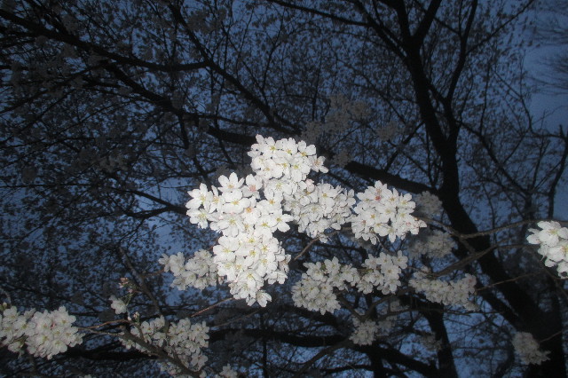 ファイル 3523-4.jpg