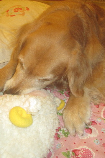 ファイル 3524-1.jpg