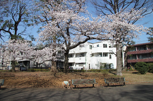 ファイル 3525-1.jpg