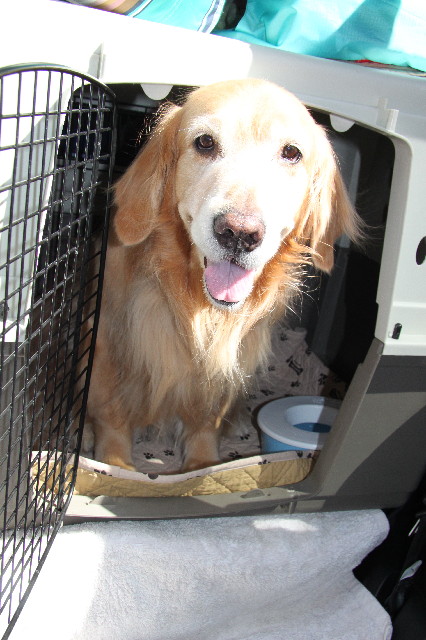 ファイル 3525-5.jpg