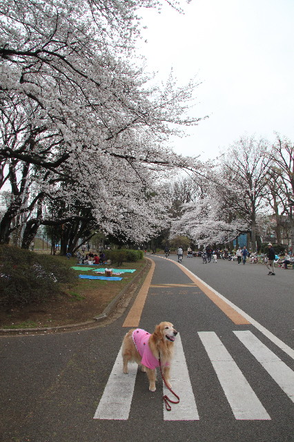 ファイル 3526-2.jpg