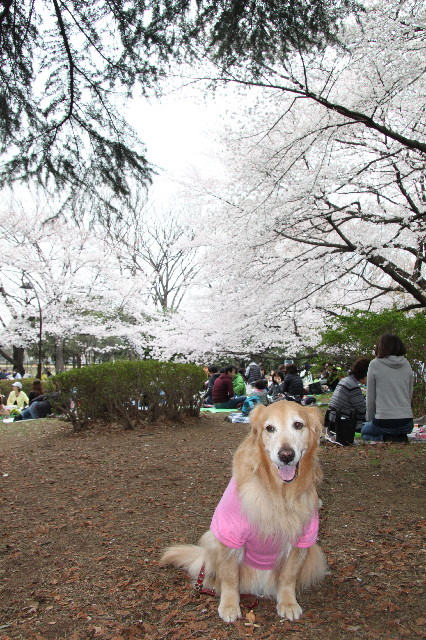 ファイル 3526-4.jpg