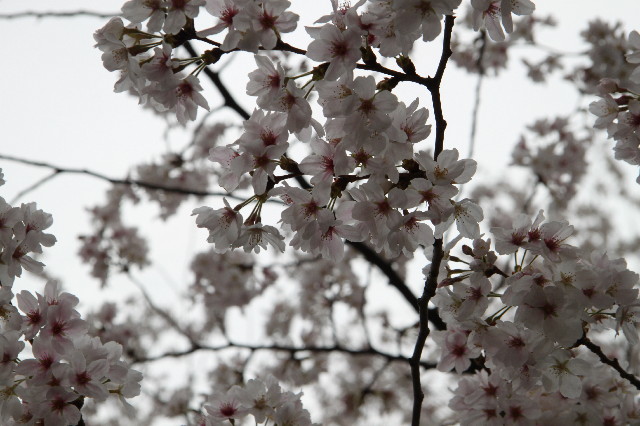 ファイル 3526-5.jpg