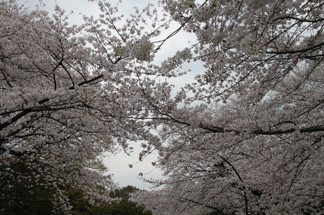 ファイル 3527-3.jpg