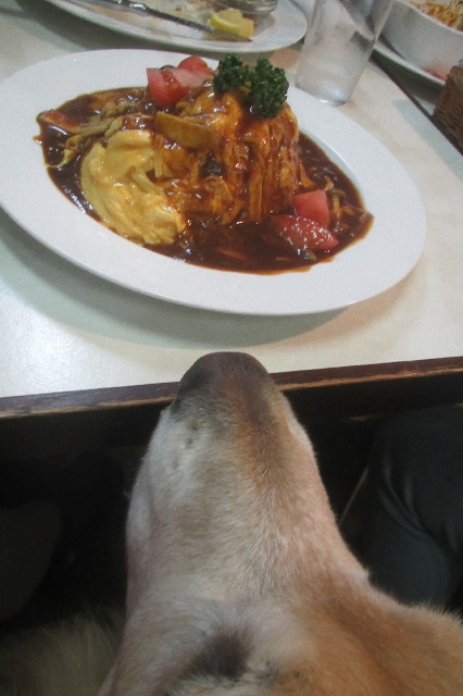 ファイル 3530-4.jpg