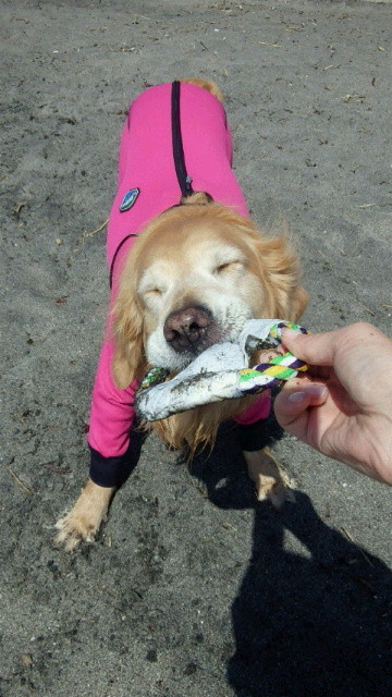 ファイル 3531-2.jpg