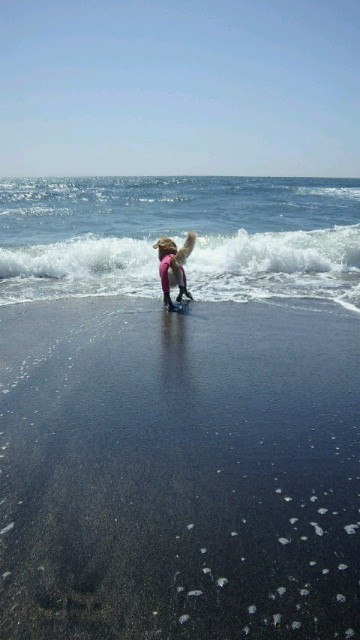 ファイル 3531-4.jpg