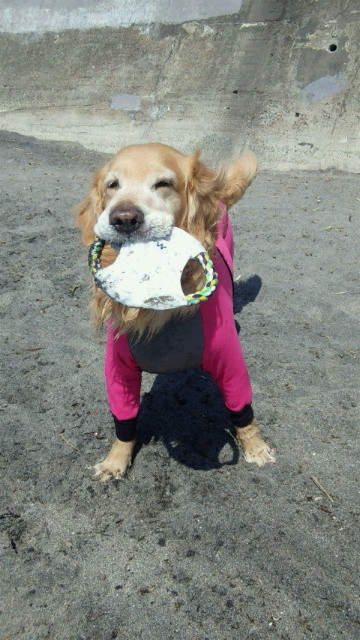 ファイル 3531-5.jpg