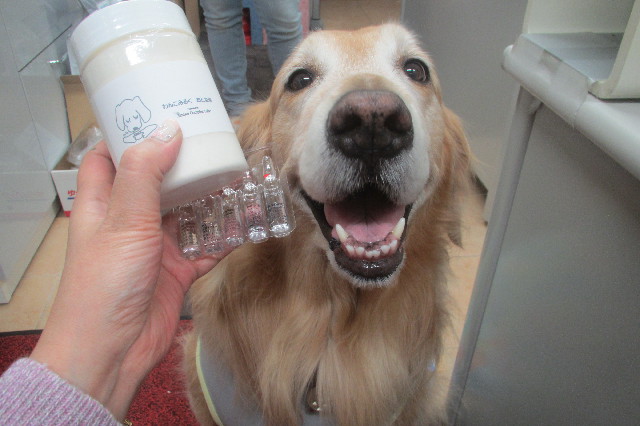 ファイル 3532-3.jpg