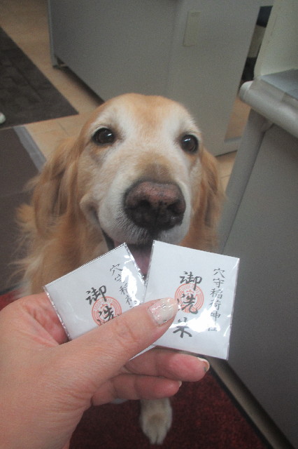 ファイル 3532-4.jpg