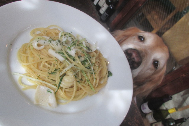 ファイル 3534-3.jpg