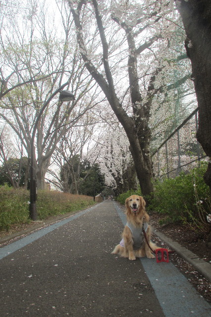 ファイル 3534-4.jpg