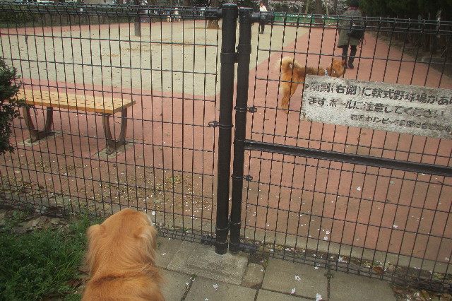 ファイル 3535-2.jpg