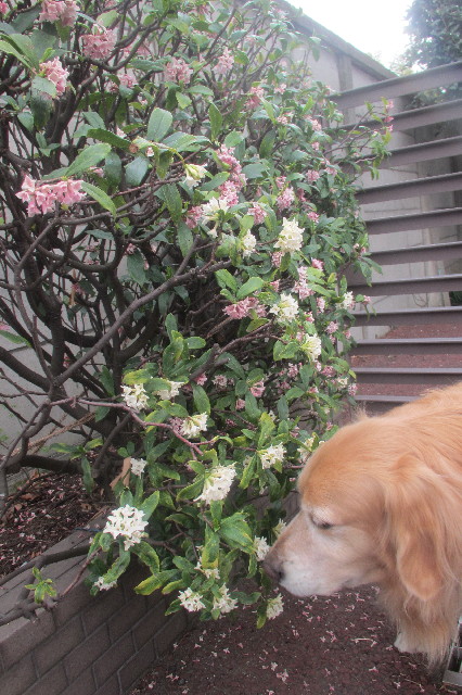 ファイル 3535-3.jpg