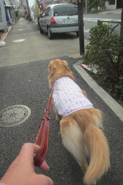 ファイル 3536-1.jpg