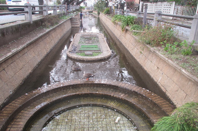 ファイル 3536-4.jpg