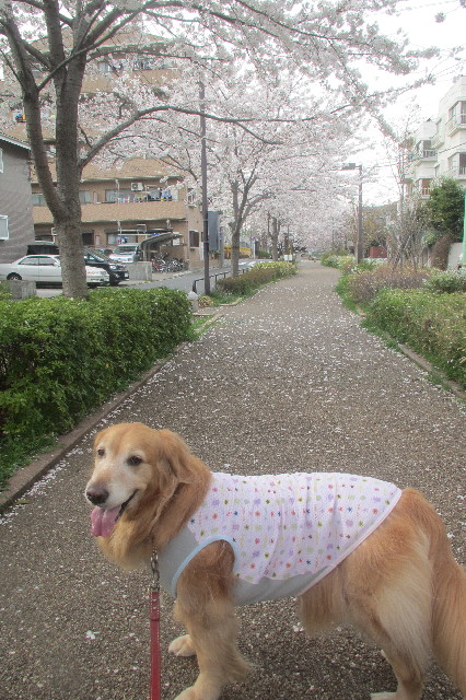 ファイル 3537-5.jpg