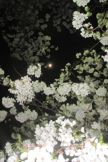 ファイル 3538-4.jpg