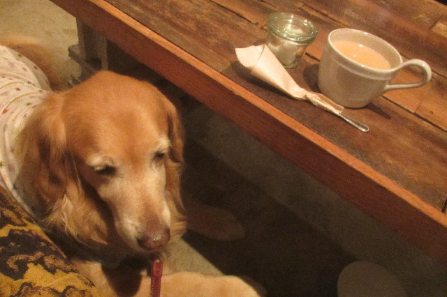 ファイル 3538-5.jpg