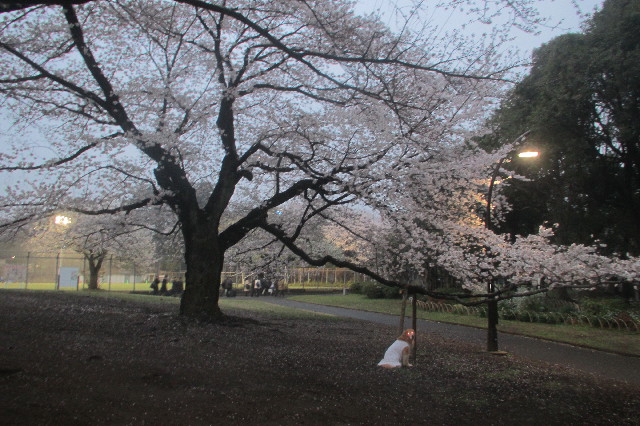 ファイル 3539-2.jpg