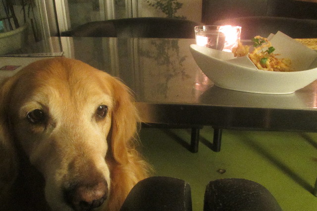 ファイル 3539-5.jpg