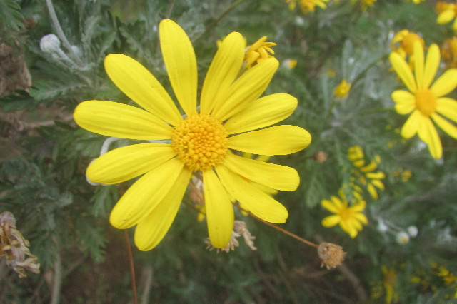 ファイル 3540-3.jpg